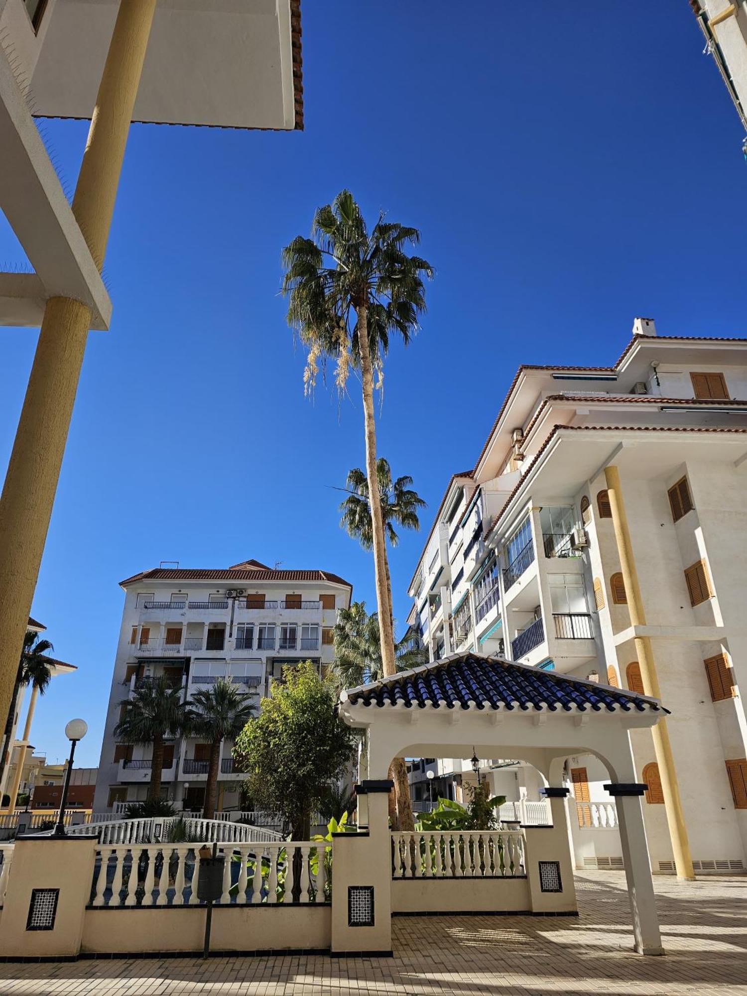At Costa Blanca - Cozy Apartment With Pool La Mata  Dış mekan fotoğraf